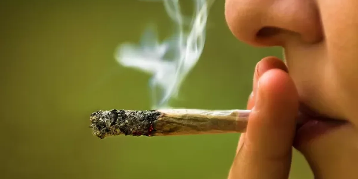 Imagem: reprodução